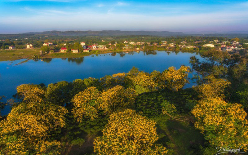 Unique Festival of yellow flowers in Gia Lai