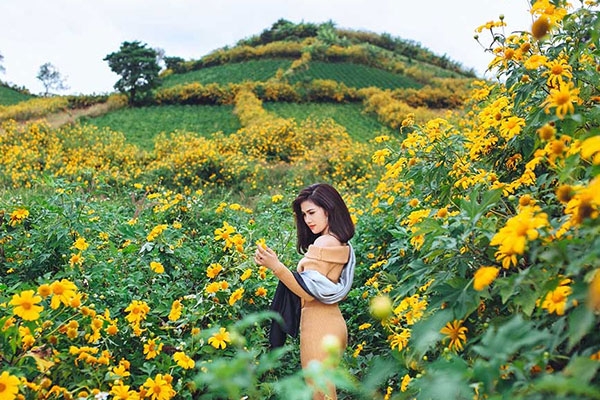 Thương Lê